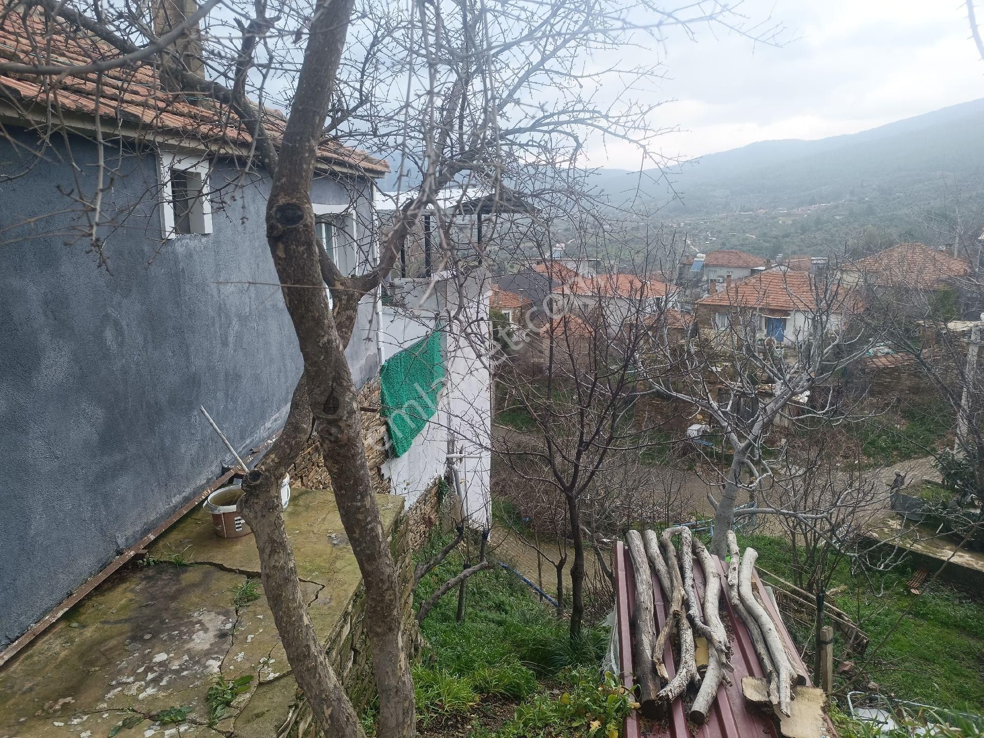 İzmir Kemalpaşa Cumali - Görsel 6