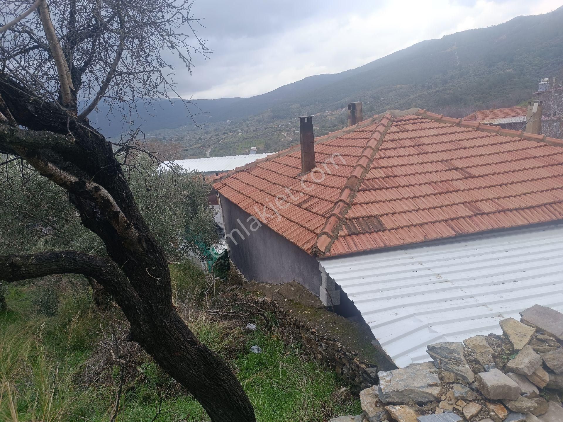 İzmir Kemalpaşa Cumali - Görsel 3