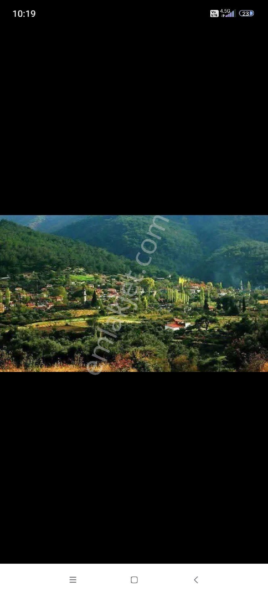 İzmir Kemalpaşa Cumali