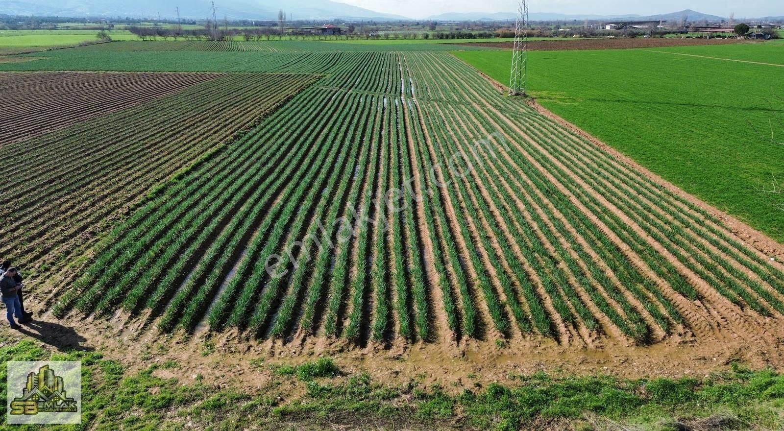 İzmir Tire Sbemlak'tan Peşrefli Mah. Yatırımlık Tarla - Görsel 4