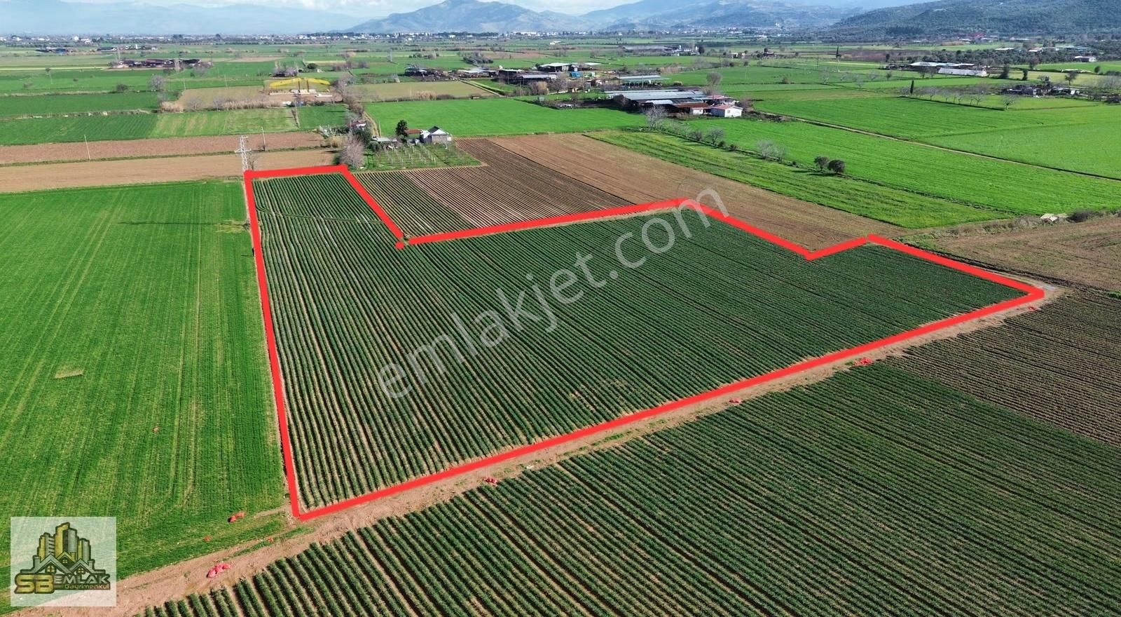 İzmir Tire Sbemlak'tan Peşrefli Mah. Yatırımlık Tarla - Görsel 3