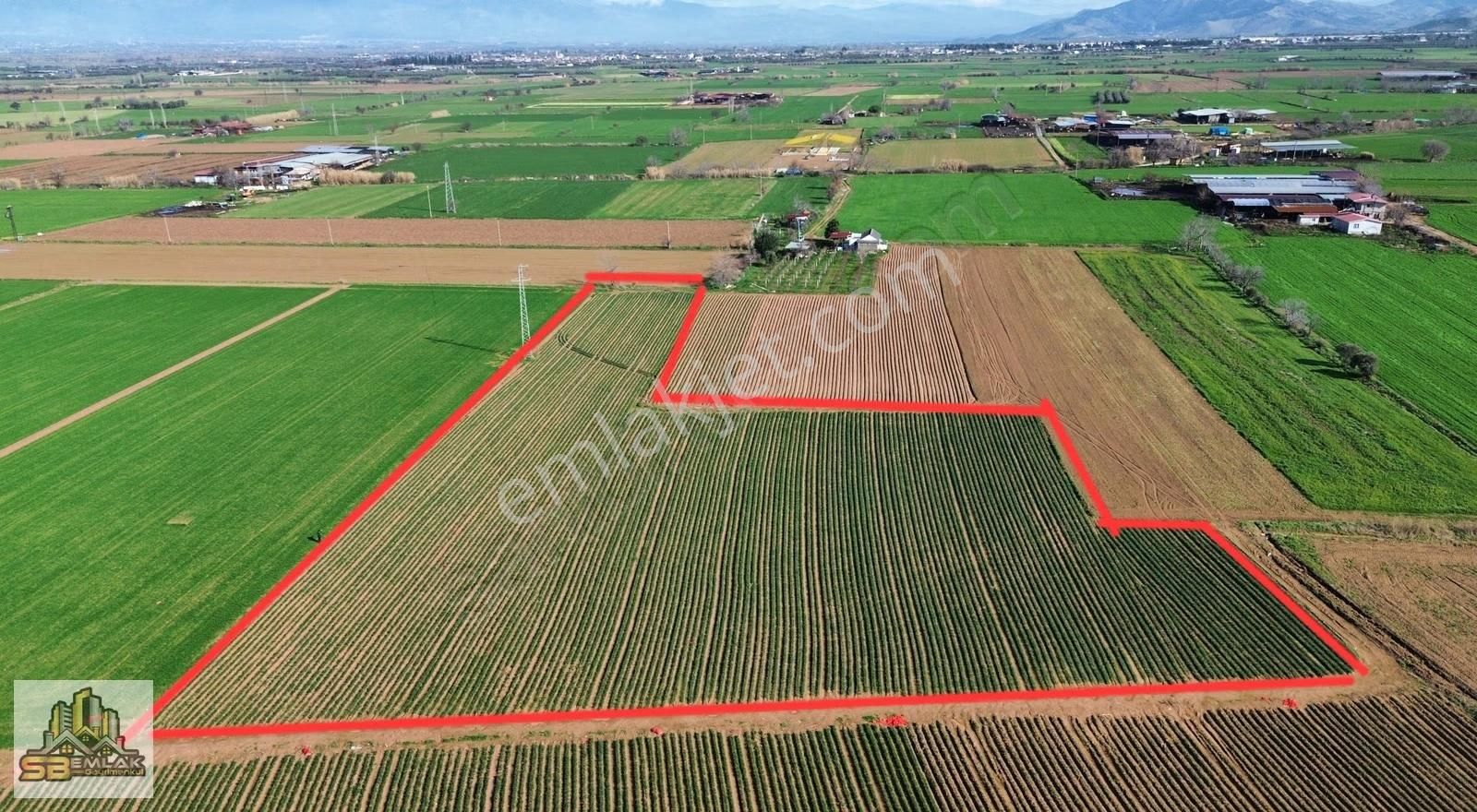 İzmir Tire Sbemlak'tan Peşrefli Mah. Yatırımlık Tarla