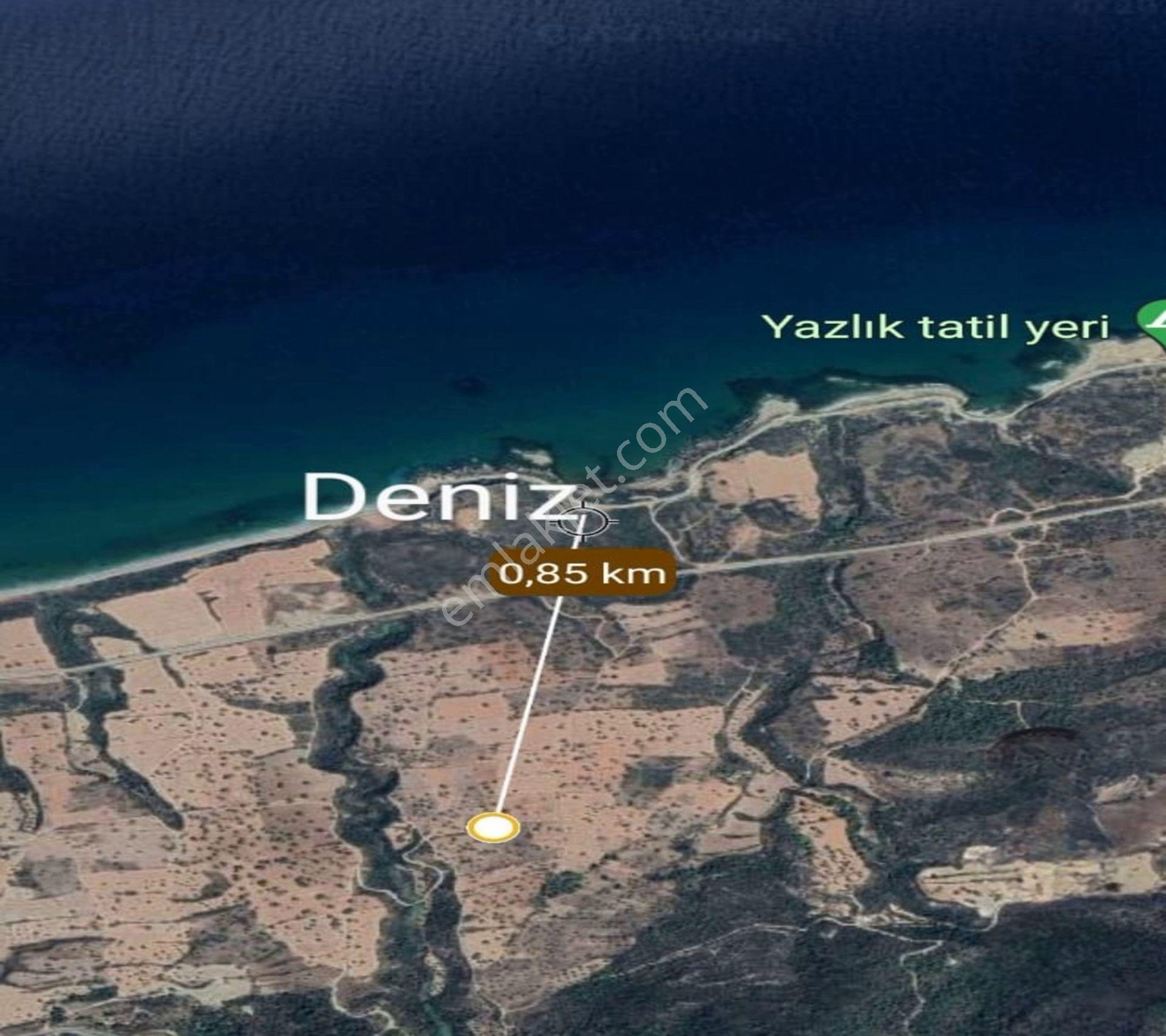 İskele Mersinlikte İmarlı 28 Dönüm Tarla - Görsel 10