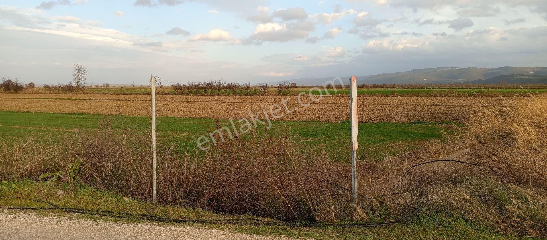 Mustafakemalpaşa Doğancı Mahallesi Satılık 507 Mt2 Tek Tapu Yola Cepheli Tarla - Görsel 6