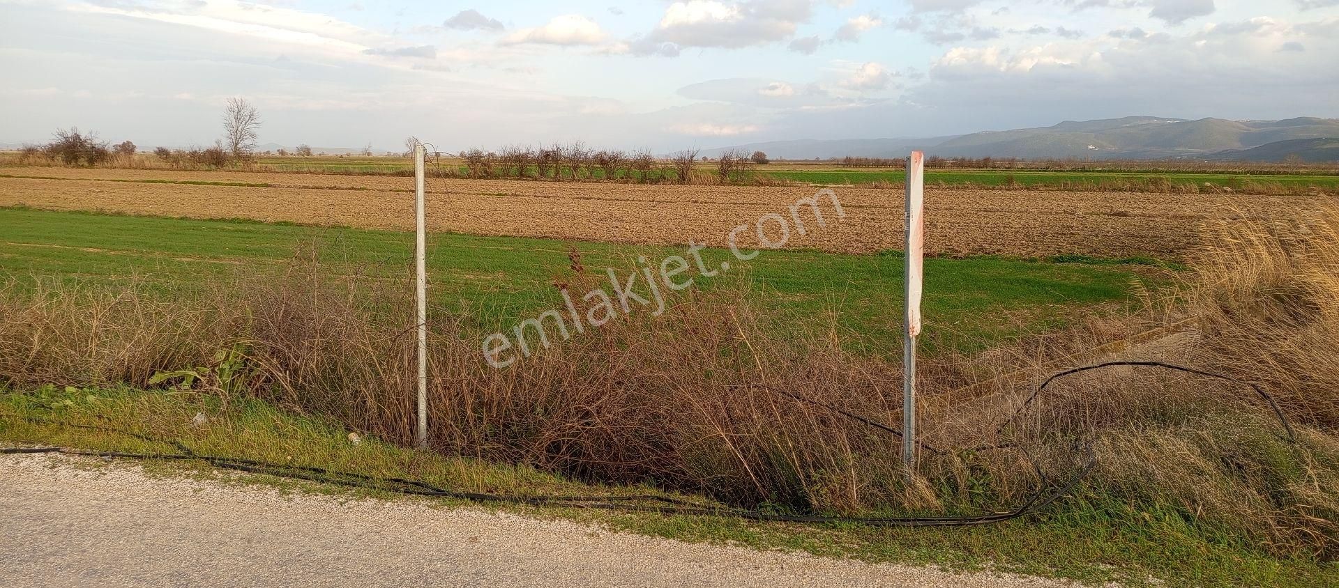Mustafakemalpaşa Doğancı Mahallesi Satılık 507 Mt2 Tek Tapu Yola Cepheli Tarla - Görsel 11