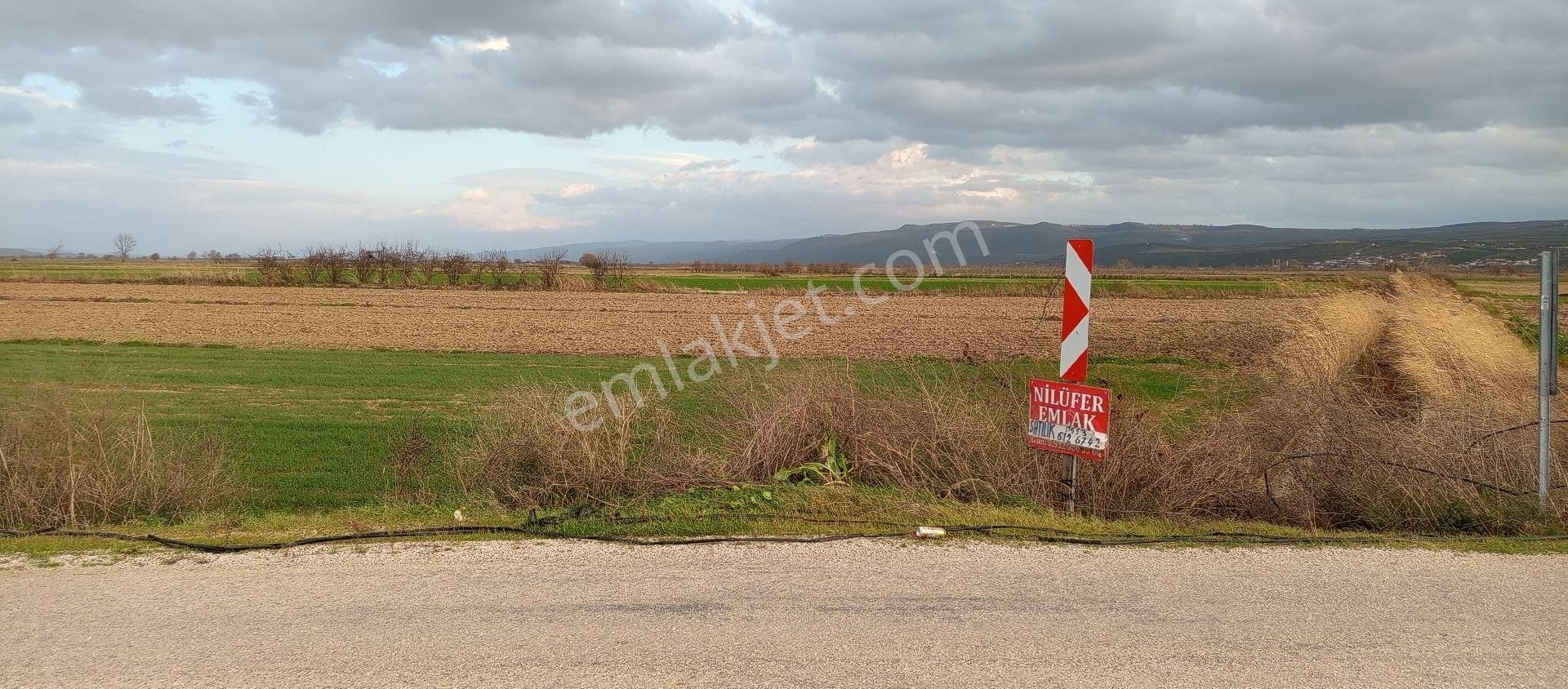 Mustafakemalpaşa Doğancı Mahallesi Satılık 507 Mt2 Tek Tapu Yola Cepheli Tarla - Görsel 23