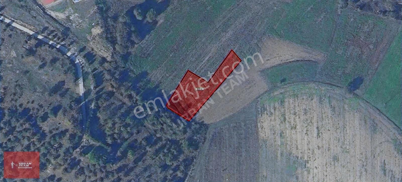 Sakarya Söğütlü Sıraköy 1.487 M² İmar Yanı Fırsat Tarla - Görsel 2