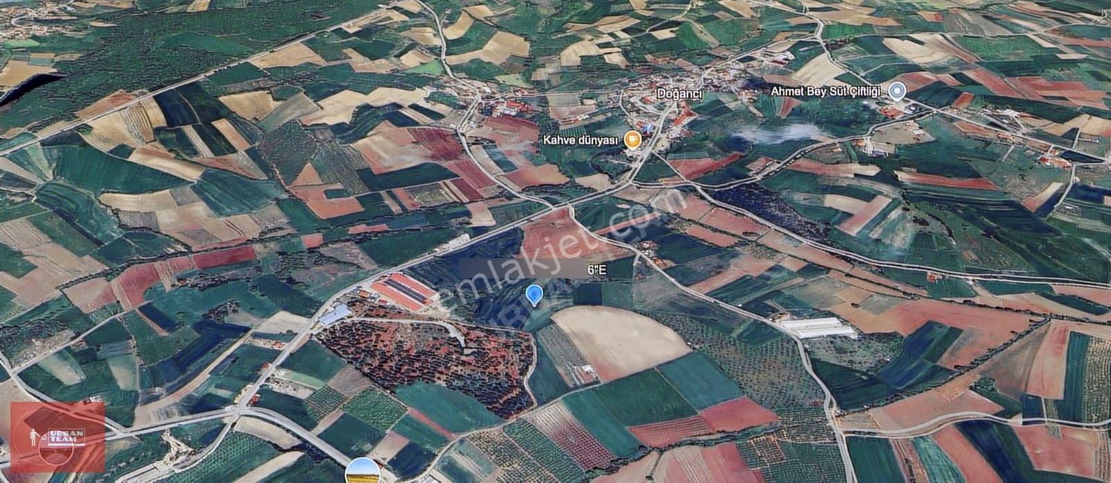 Sakarya Söğütlü Sıraköy 1.487 M² İmar Yanı Fırsat Tarla - Görsel 3