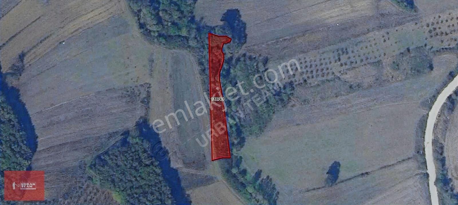 Kandıra Üğümce 1.080 M² Müstakil Tapulu Yatırımlık Fırsat Tarla - Görsel 2
