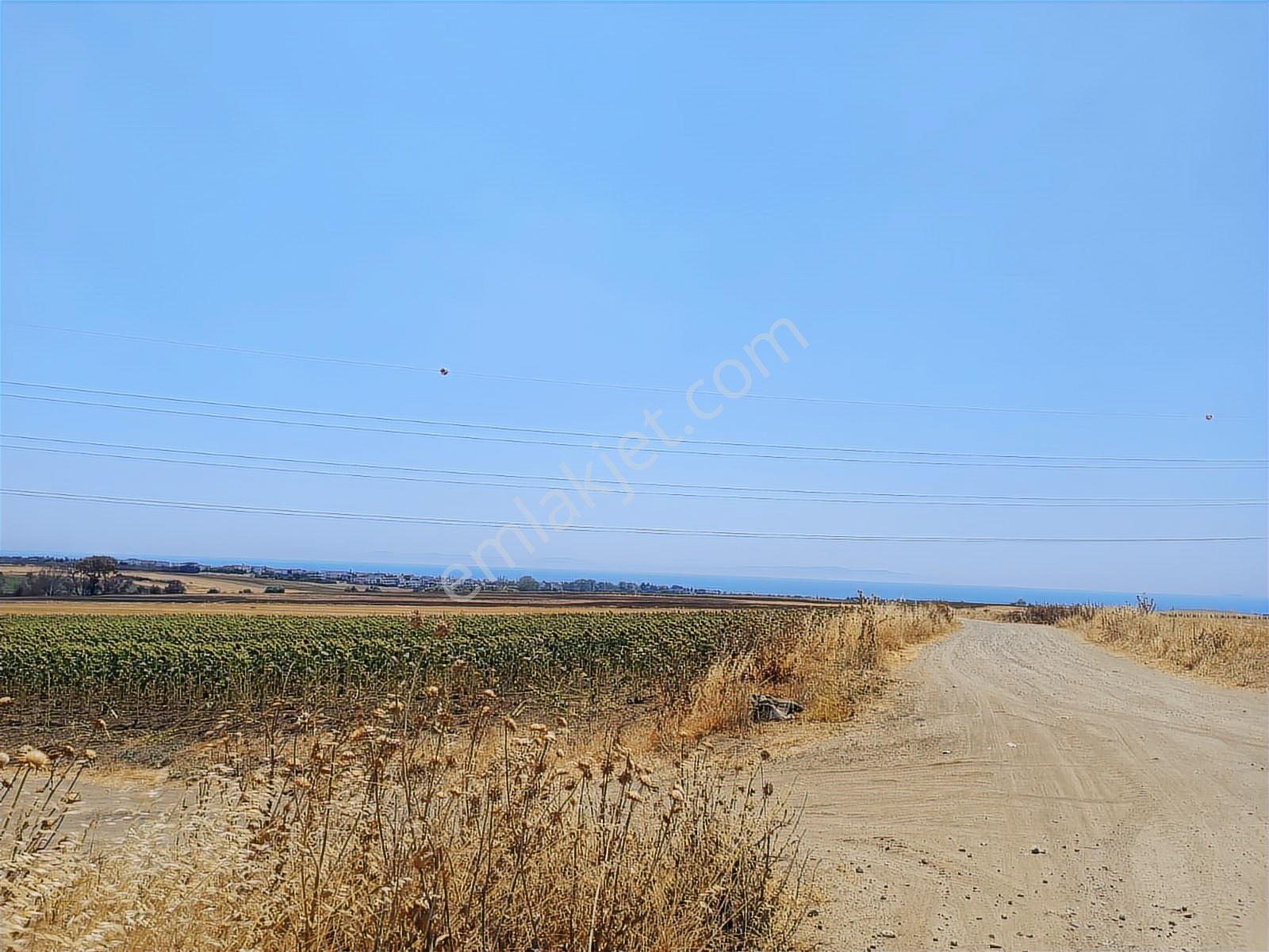 Tekirdağ Marmaraereğlisi Çeşmelide 278,9 Hisseli Tapularımız - Görsel 2