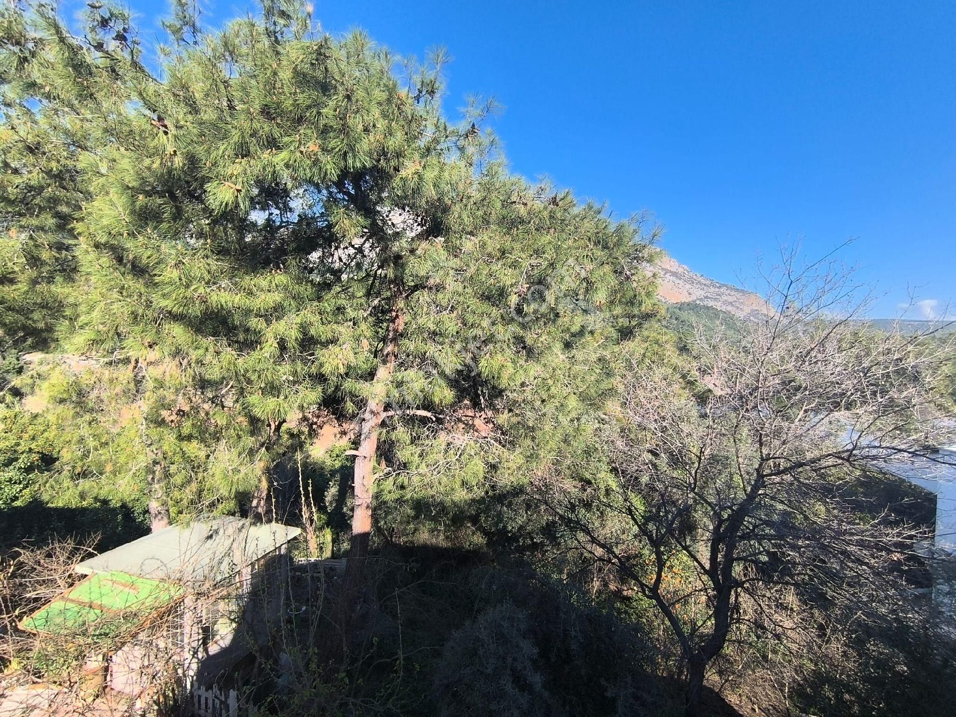 Doyran’da Merkezde 3+1 Tripleks Villa 400 M² Arsa 240 M² Kullanım Dev Teraslı - Görsel 10