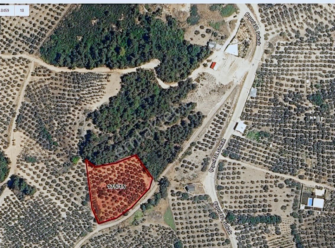 Çepni'de Köy Merkezine Yakın Kadastral Yola Cephe 4.460 M2 Arazi - Görsel 5