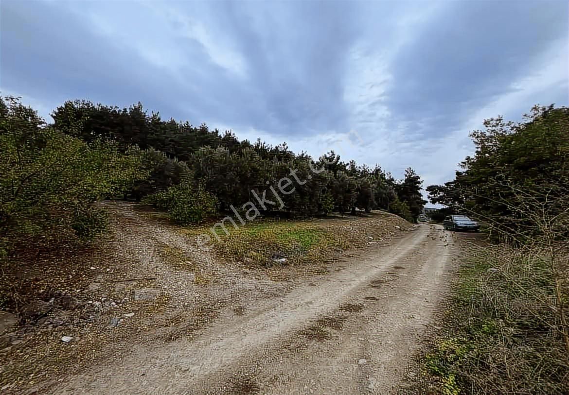 Çepni'de Köy Merkezine Yakın Kadastral Yola Cephe 4.460 M2 Arazi - Görsel 2