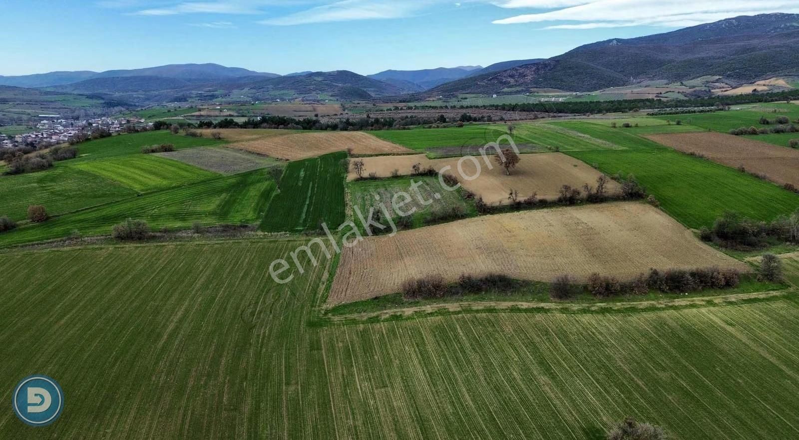 Yenişehir Kavaklıda 3.100m2 Tek Tapu Hesaplı Yatırımlık Tarla - Görsel 6