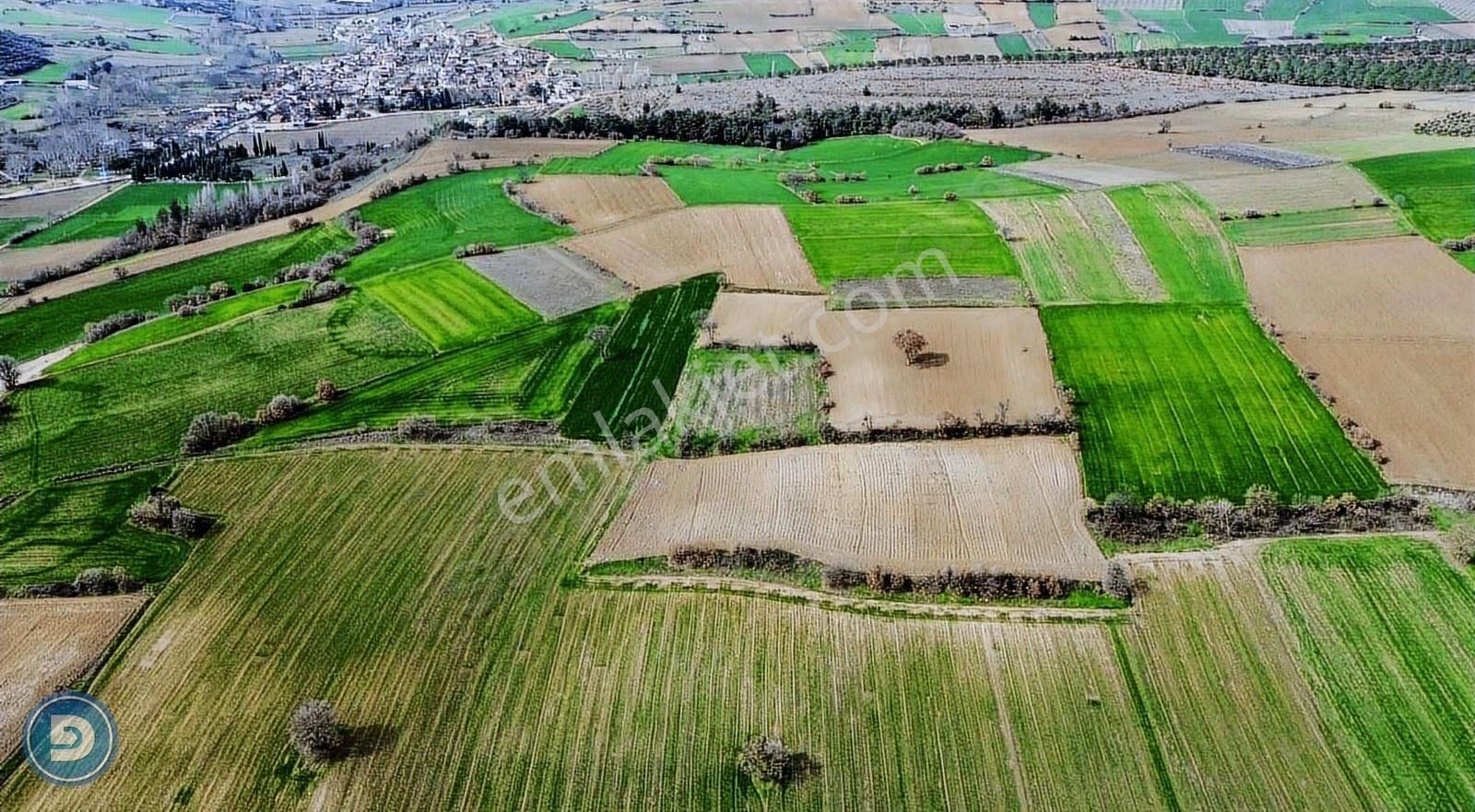 Yenişehir Kavaklıda 3.100m2 Tek Tapu Hesaplı Yatırımlık Tarla - Görsel 13