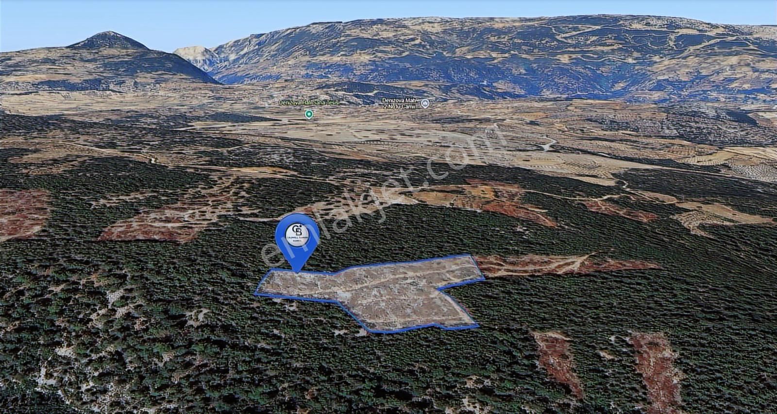 Muğla Menteşede 10 Dönüm Tek Parça Tarla - Görsel 7