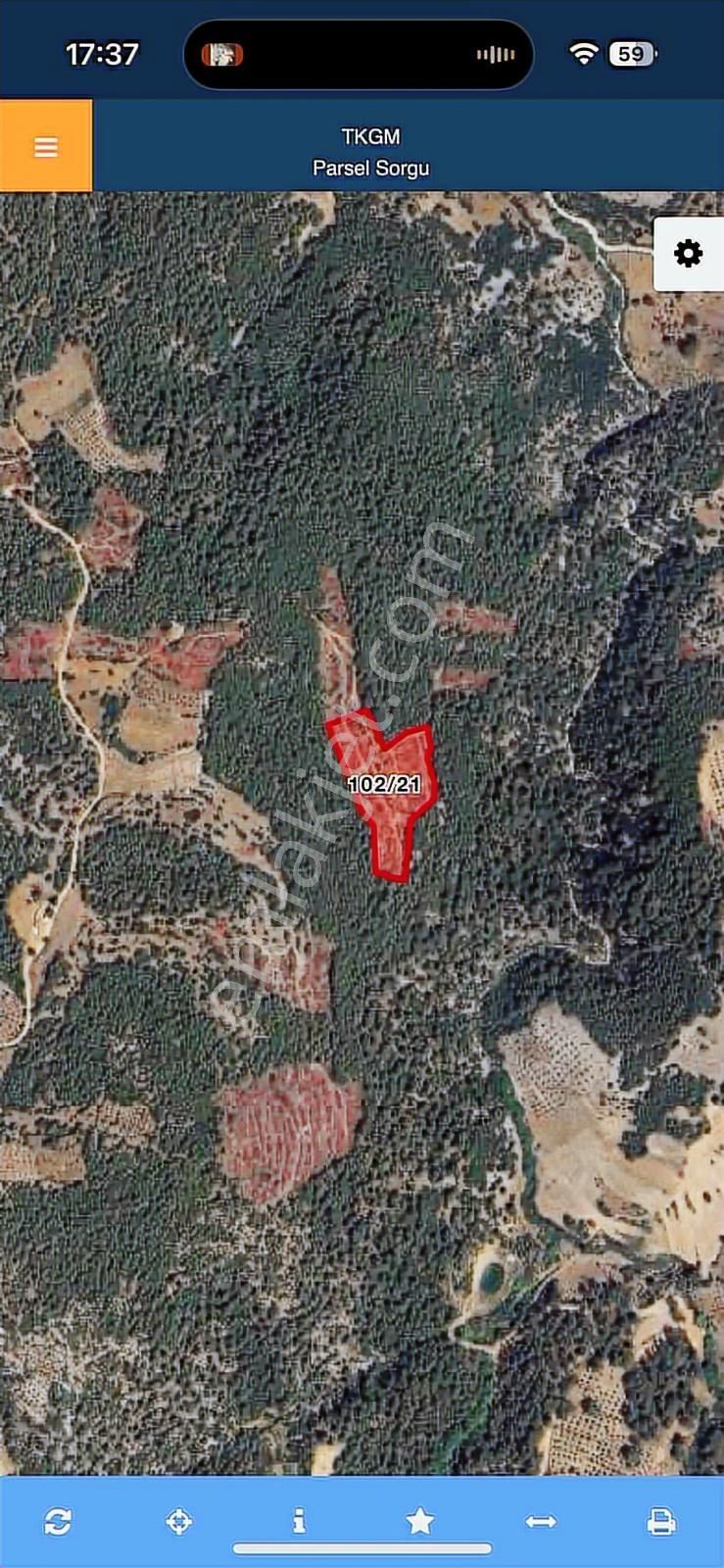 Muğla Menteşede 10 Dönüm Tek Parça Tarla - Görsel 5