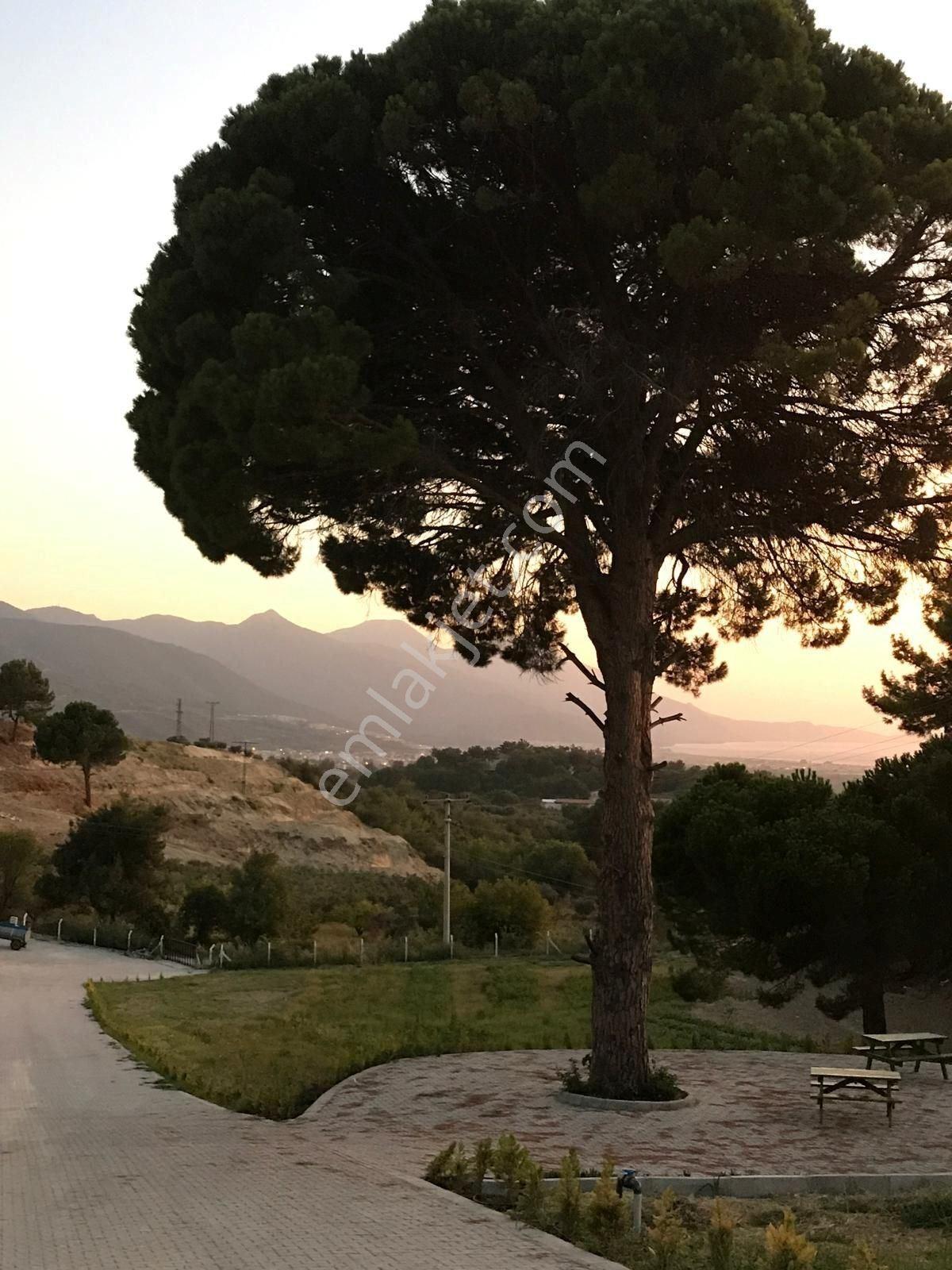 Kuşadası Caferli’de 61.000 M² Teraslanmış, Altyapısı Hazır, Körfez Manzaralı Yatırım Arazisi - Görsel 13