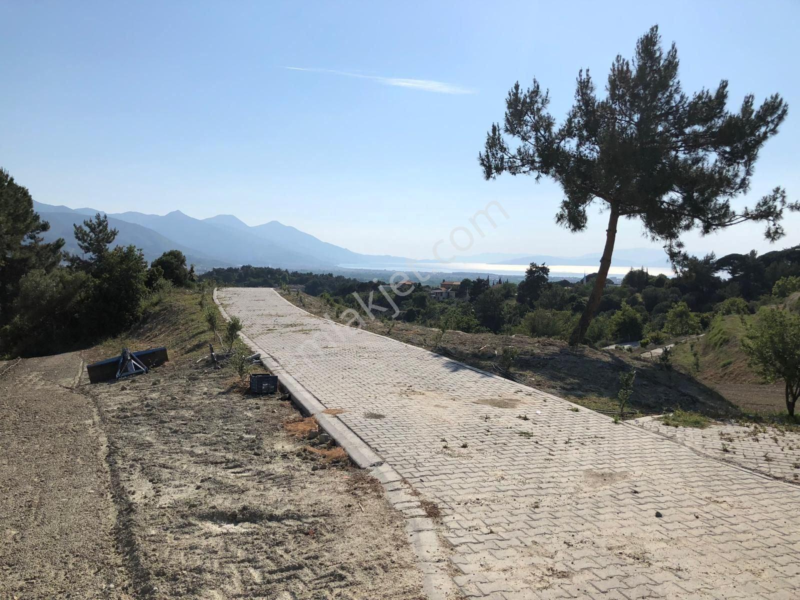 Kuşadası Caferli’de 61.000 M² Teraslanmış, Altyapısı Hazır, Körfez Manzaralı Yatırım Arazisi - Görsel 4