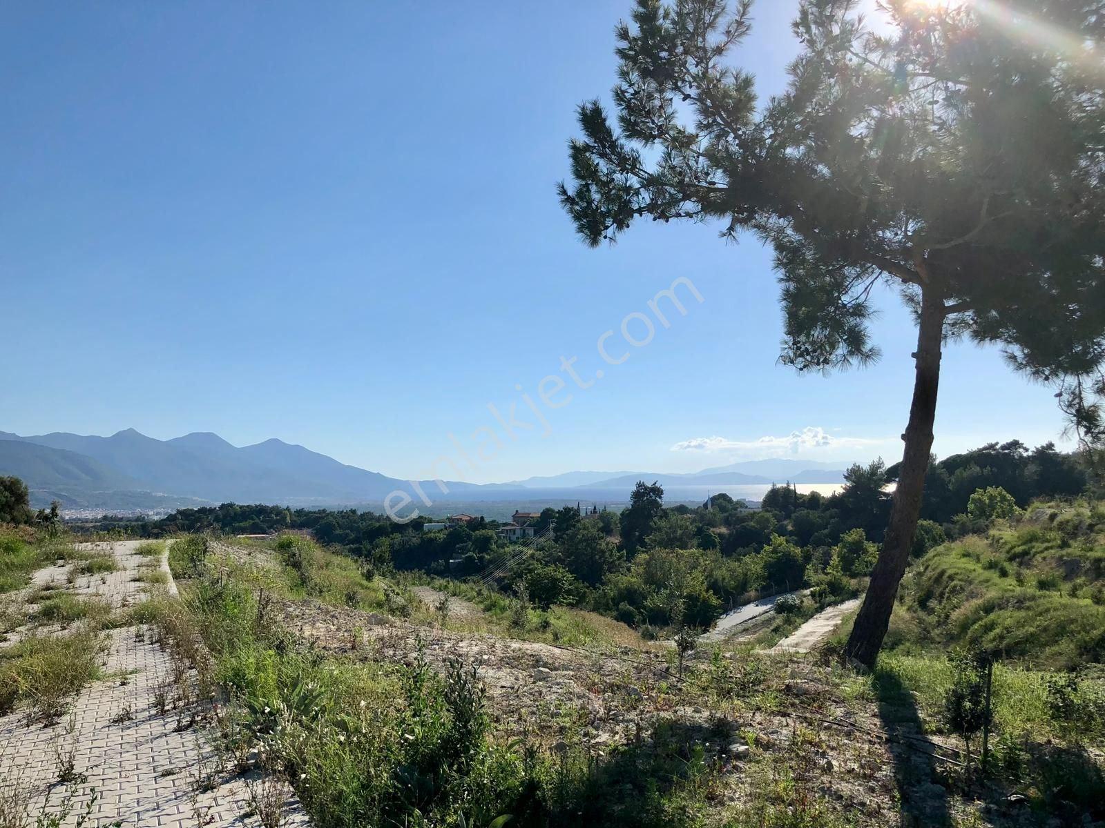 Kuşadası Caferli’de 61.000 M² Teraslanmış, Altyapısı Hazır, Körfez Manzaralı Yatırım Arazisi - Görsel 18