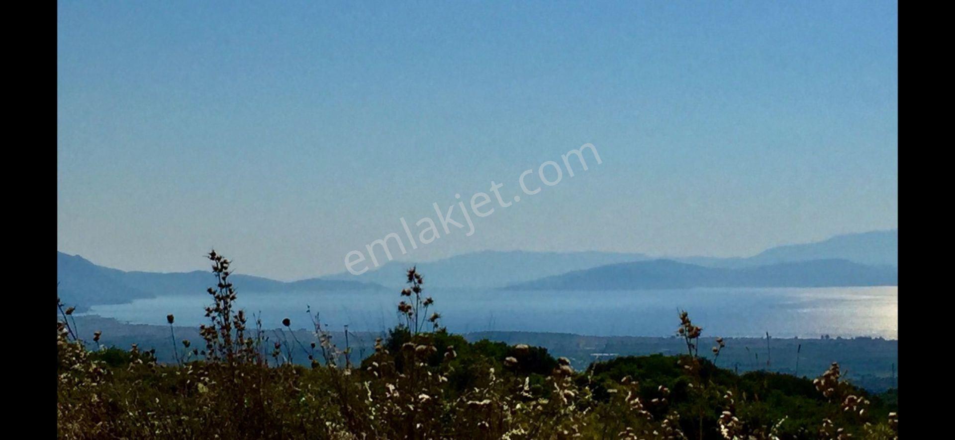 Kuşadası Caferli’de 61.000 M² Teraslanmış, Altyapısı Hazır, Körfez Manzaralı Yatırım Arazisi - Görsel 19