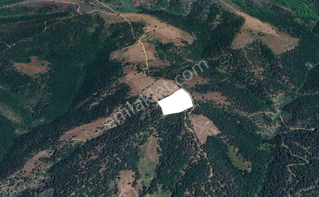 Orhaneli Çınarcık'ta Manzaralı Yol Kenarı Tarla - Görsel 3