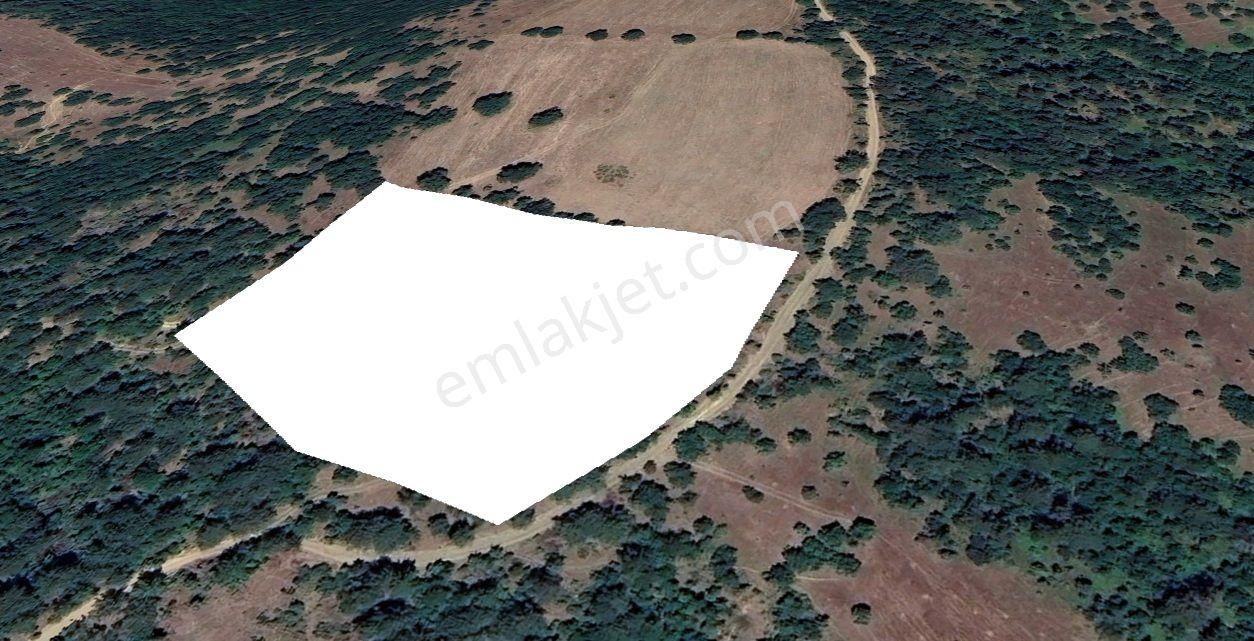 Orhaneli Çınarcık'ta Manzaralı Yol Kenarı Tarla - Görsel 4