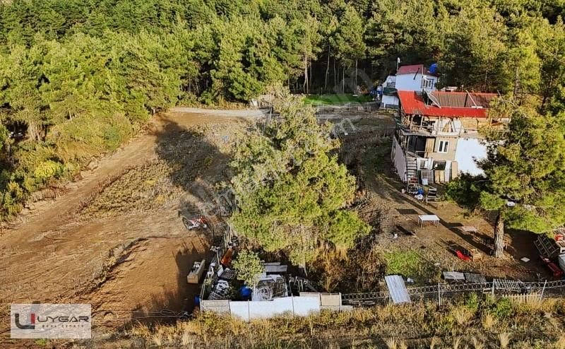 Nilüfer Demircide Şehre Yakın Doğa İçinde 440 M² Satılık - Görsel 3