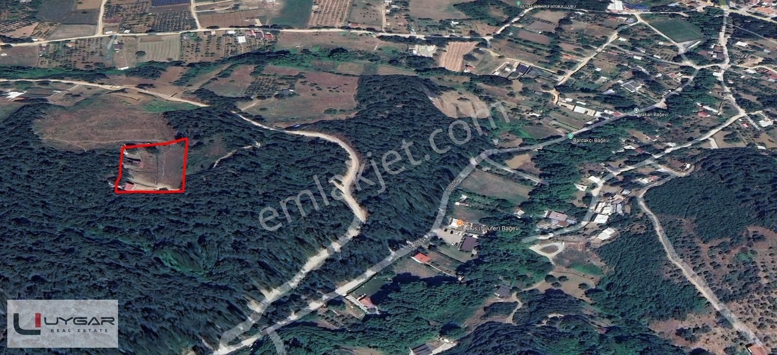 Nilüfer Demircide Şehre Yakın Doğa İçinde 440 M² Satılık - Görsel 2