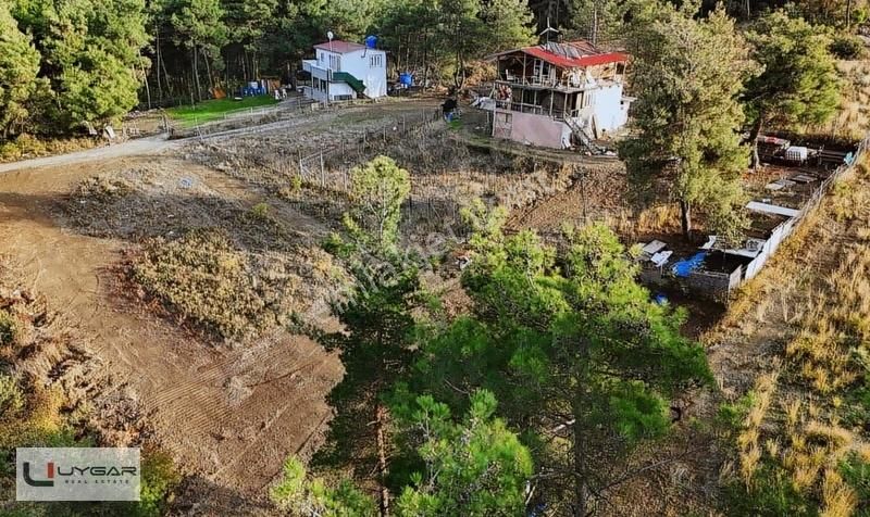 Nilüfer Demircide Şehre Yakın Doğa İçinde 440 M² Satılık - Görsel 7