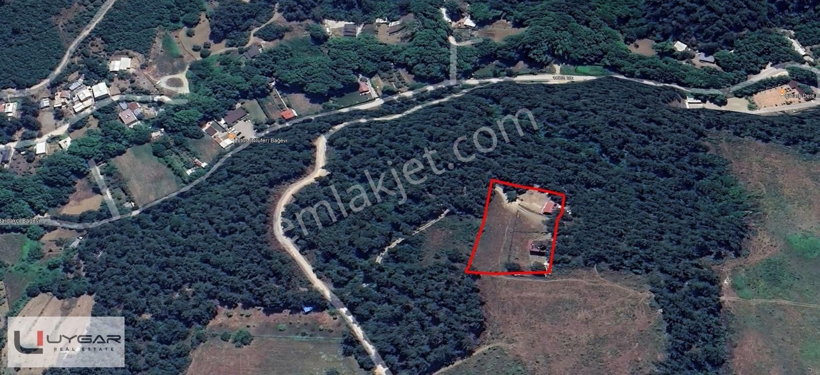 Nilüfer Demircide Şehre Yakın Doğa İçinde 440 M² Satılık