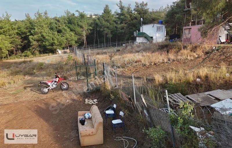 Nilüfer Demircide Şehre Yakın Doğa İçinde 440 M² Satılık - Görsel 5