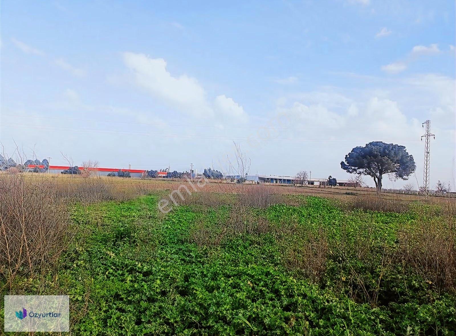 Şehzadeler Yeniköy'de Lojistik Hattında 14.500m² Tarla - Görsel 6