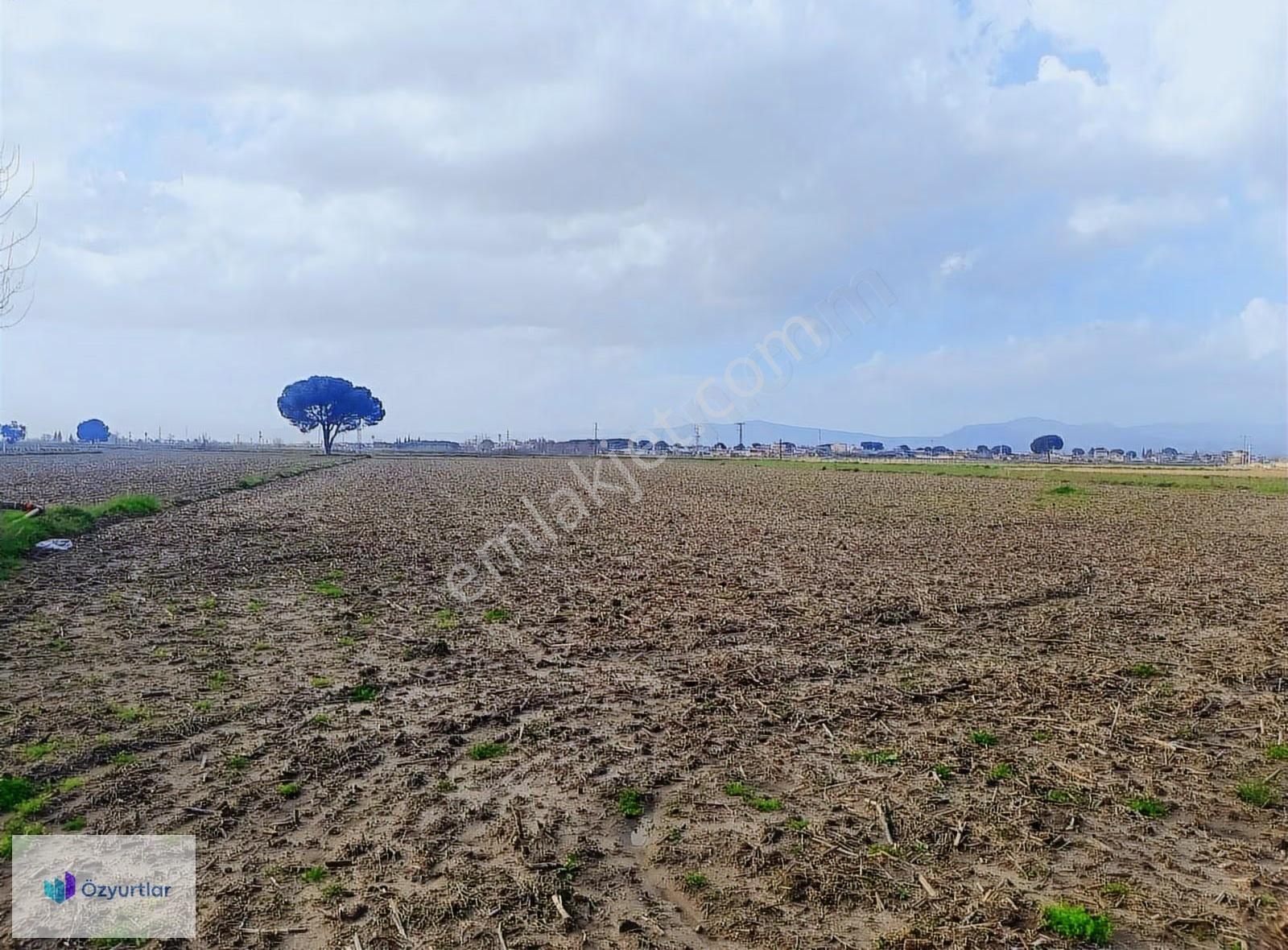 Şehzadeler Yeniköy'de Lojistik Hattında 14.500m² Tarla - Görsel 10