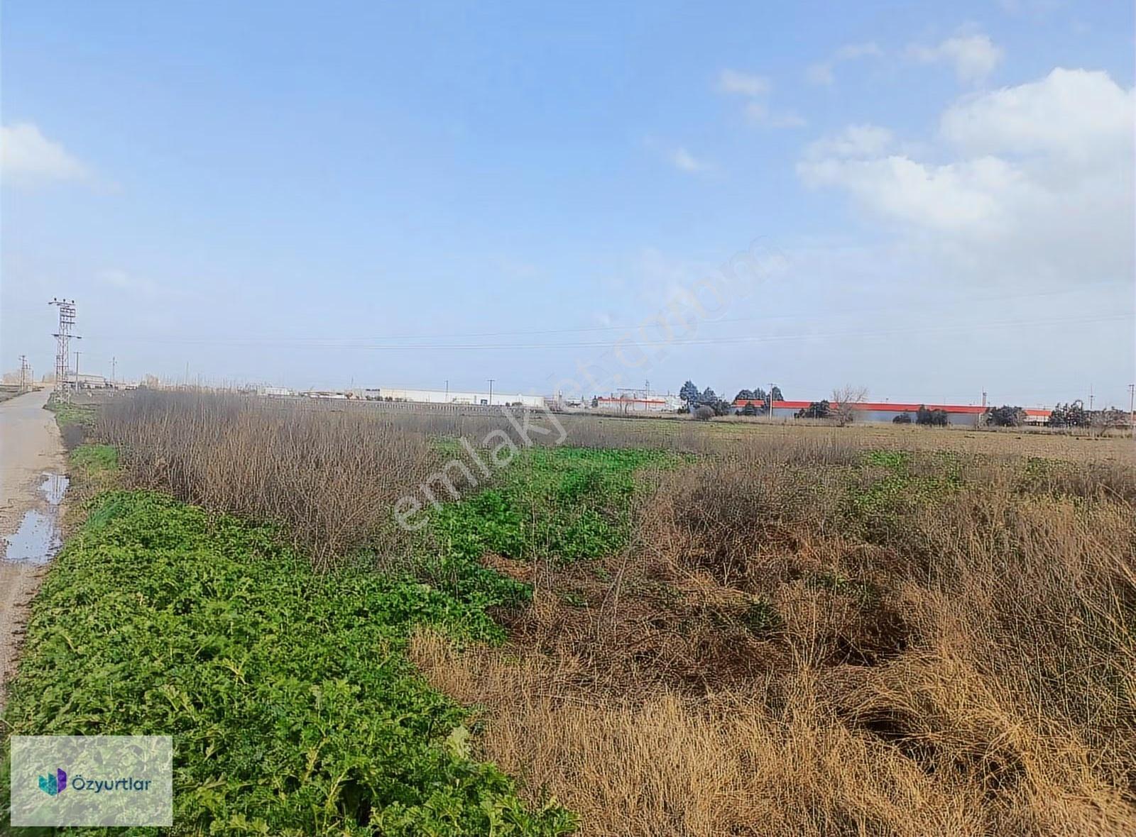 Şehzadeler Yeniköy'de Lojistik Hattında 14.500m² Tarla - Görsel 5