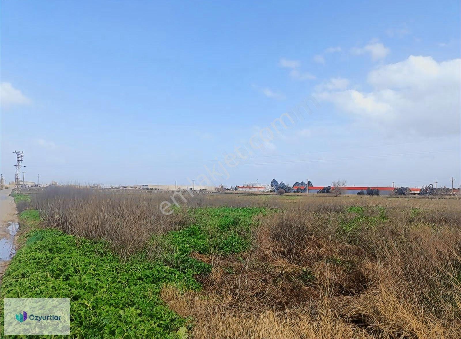 Şehzadeler Yeniköy'de Lojistik Hattında 14.500m² Tarla - Görsel 17