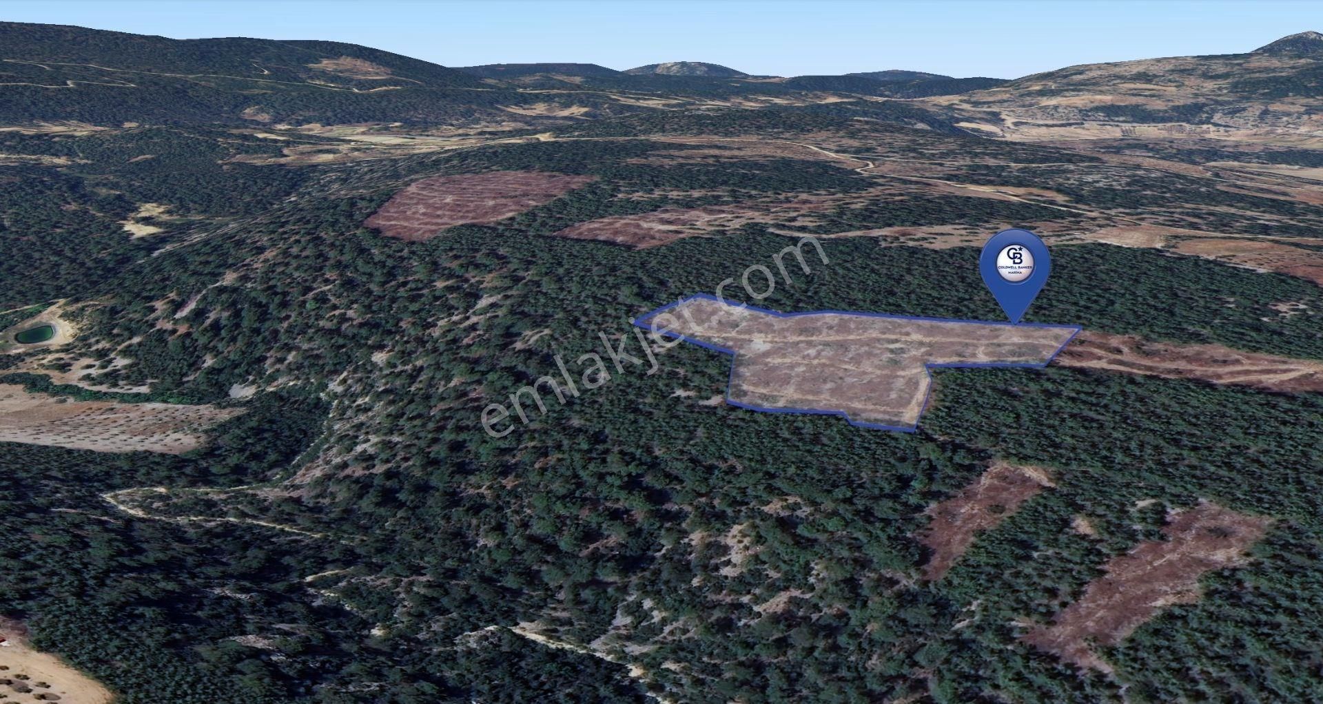 Muğla Menteşe Fadılcada Fırsat 10.143 M² Tek Parça Tarla - Görsel 6