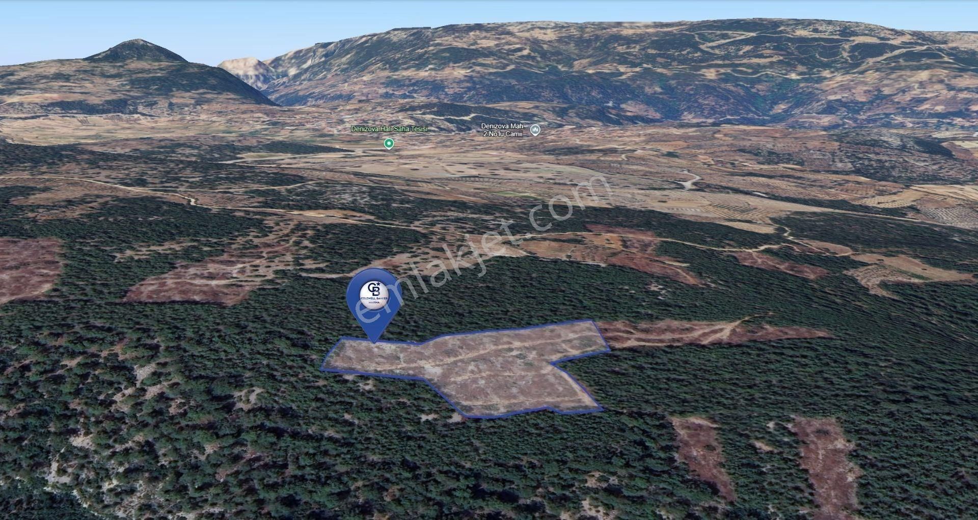 Muğla Menteşe Fadılcada Fırsat 10.143 M² Tek Parça Tarla - Görsel 8