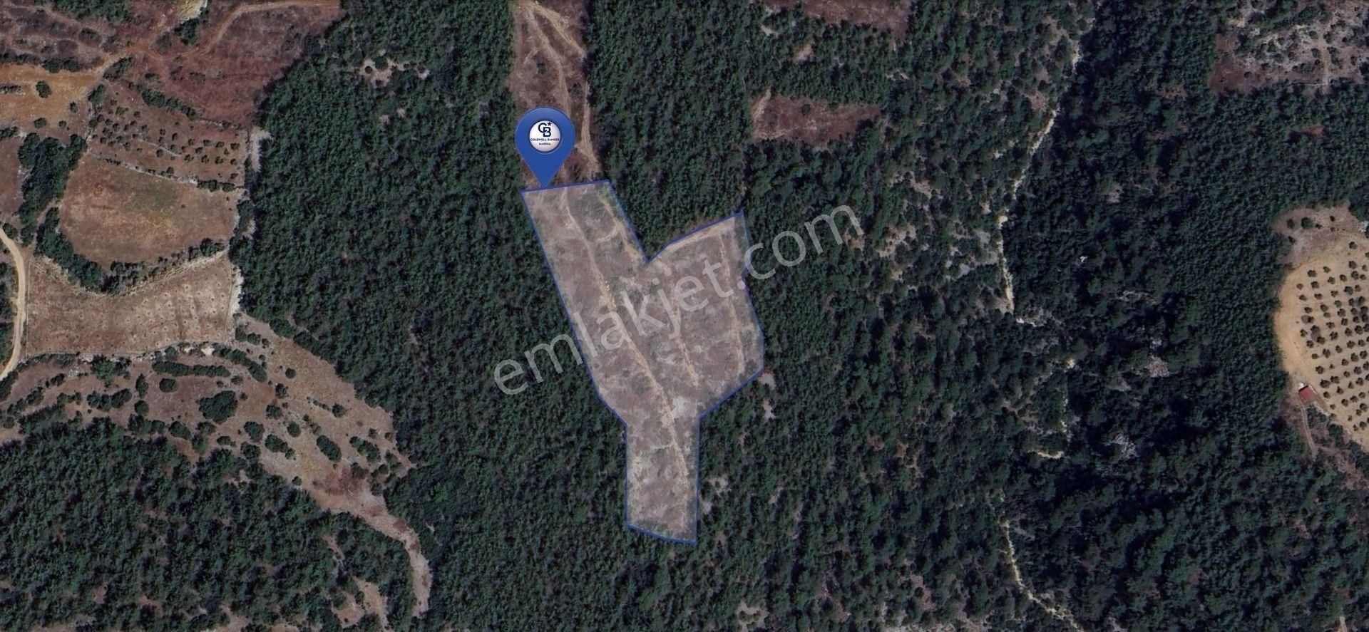Muğla Menteşe Fadılcada Fırsat 10.143 M² Tek Parça Tarla - Görsel 2