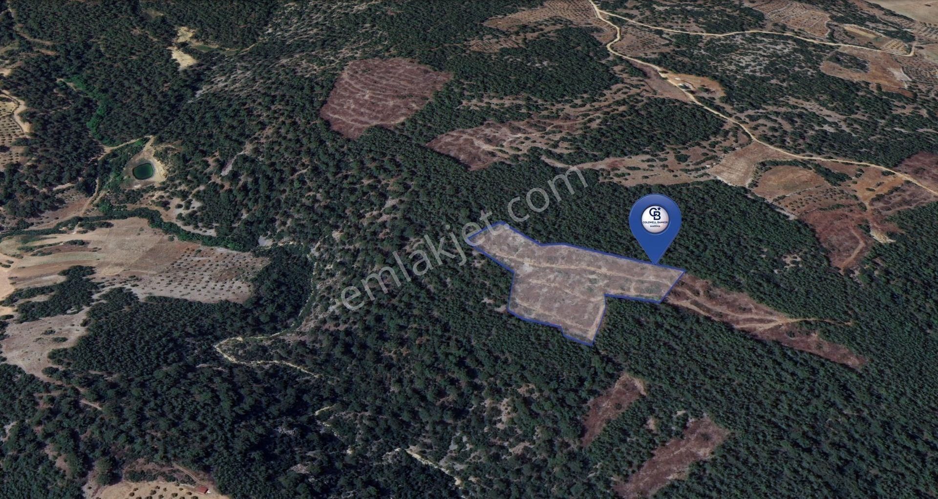 Muğla Menteşe Fadılcada Fırsat 10.143 M² Tek Parça Tarla