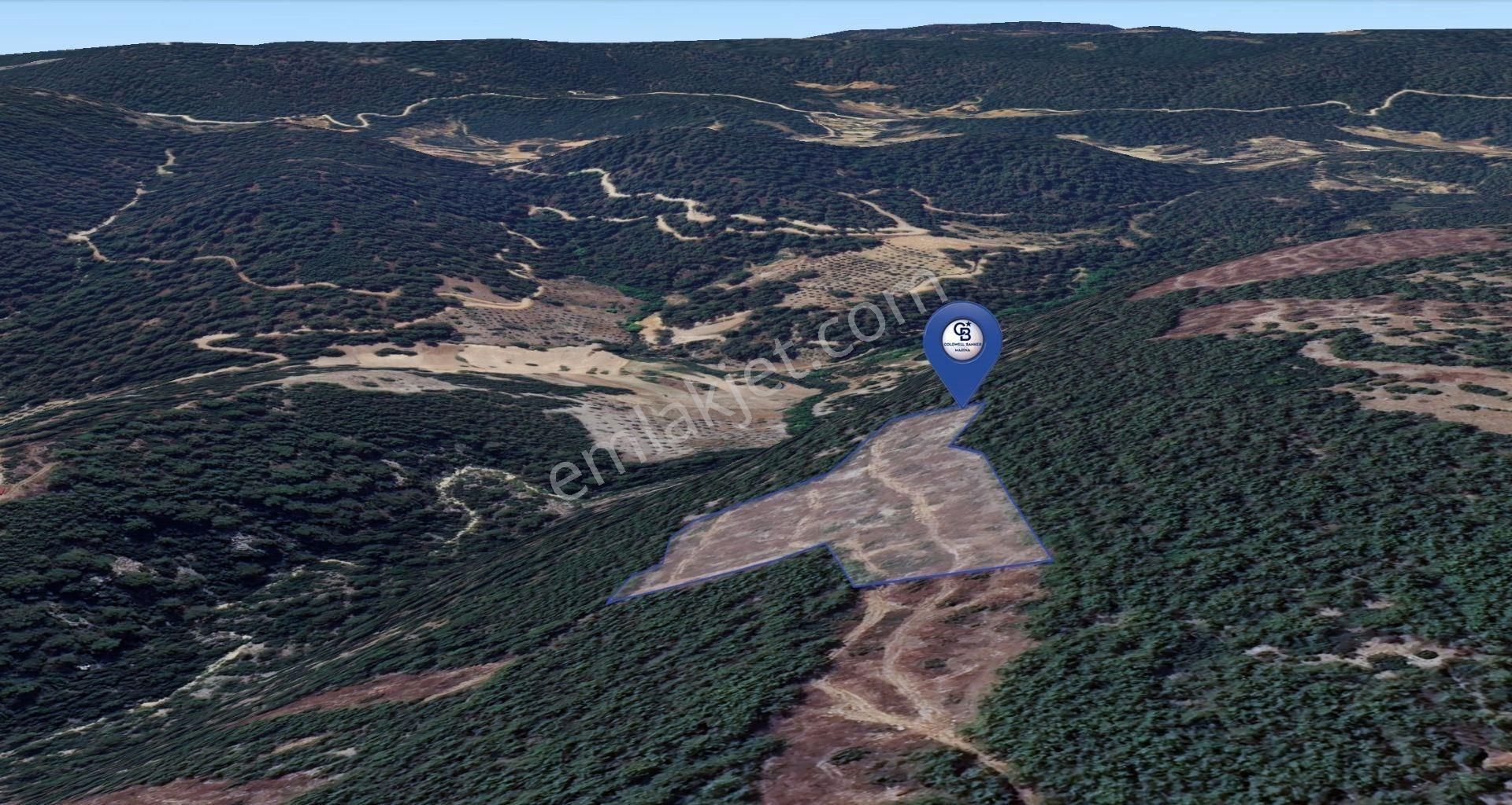 Muğla Menteşe Fadılcada Fırsat 10.143 M² Tek Parça Tarla - Görsel 7