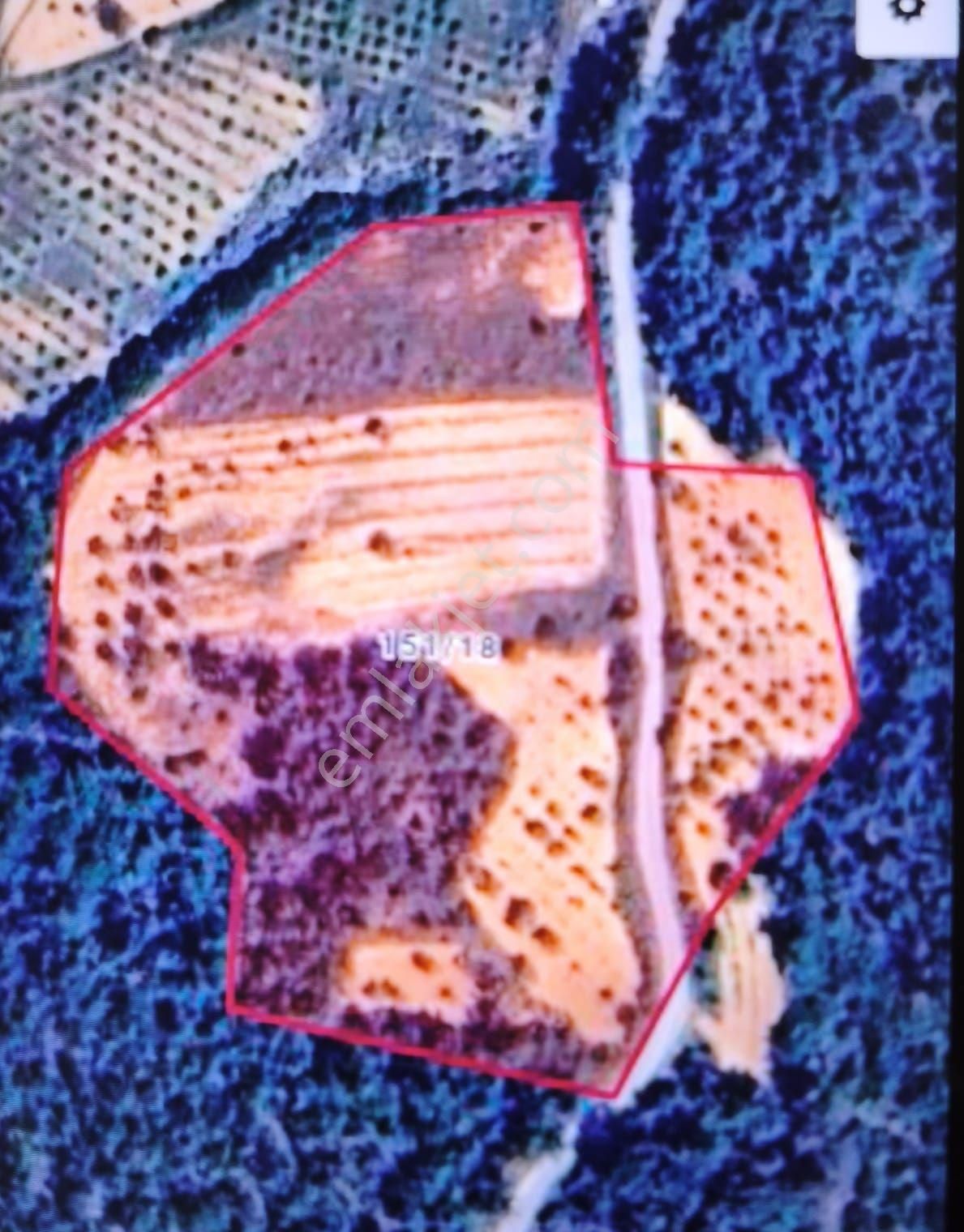 Damlacık Yol Üzerinde 1150m2 - Görsel 3