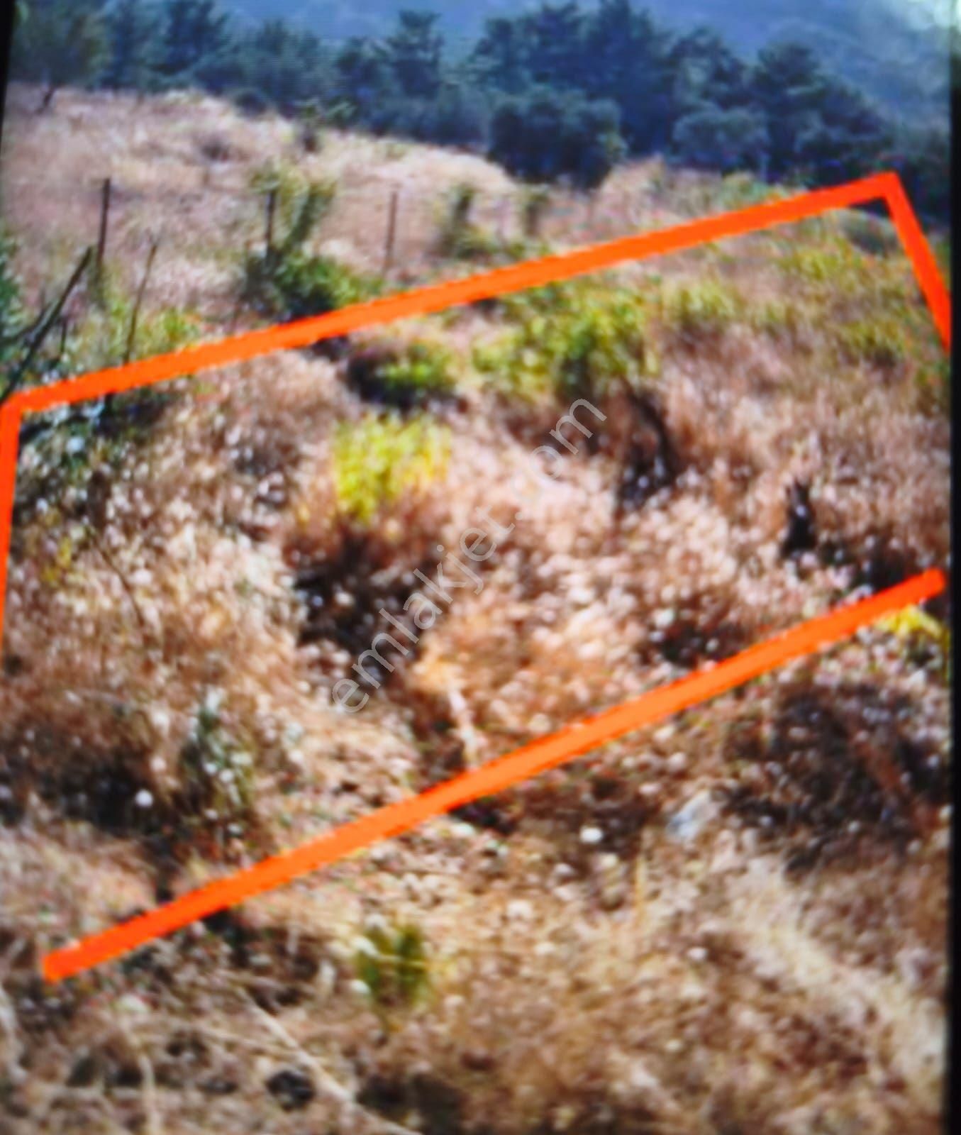 Damlacık Yol Üzerinde 1150m2 - Görsel 5