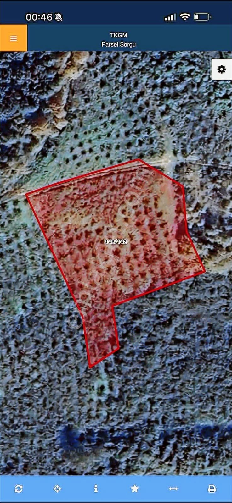 Teksende Fındıklık