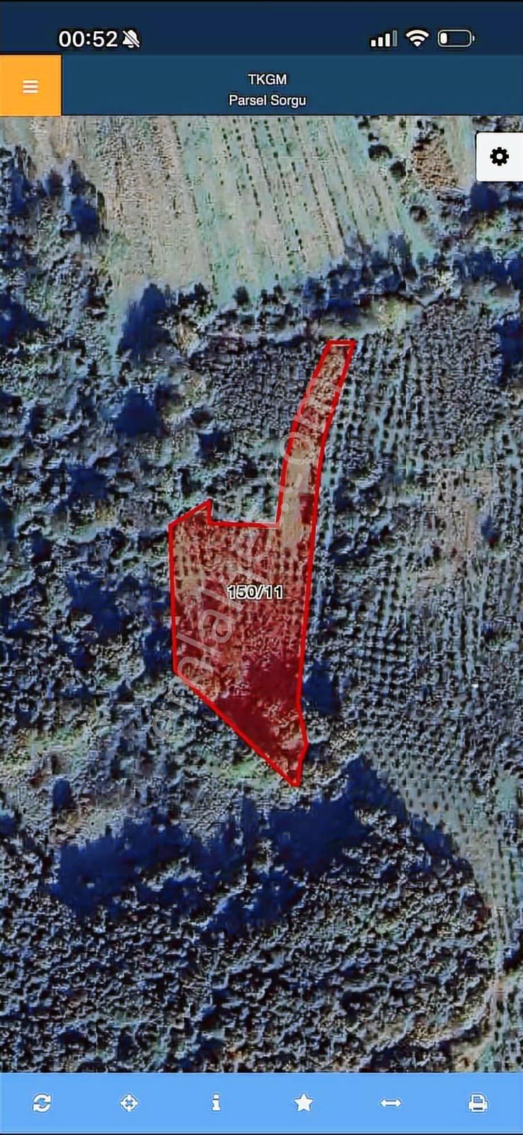 Teksen Merkeze Yakın Harika Fındıklık