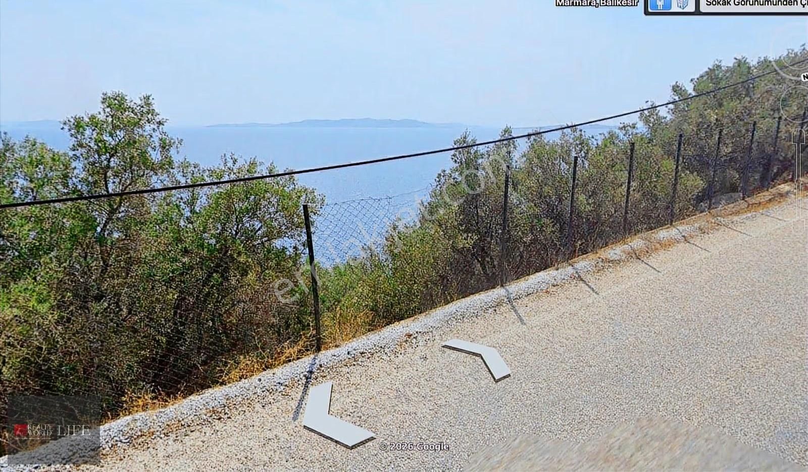 Rw Lıfe // Marmara Adasında Satılık Deniz Manzaralı Zeytinlik - Görsel 3