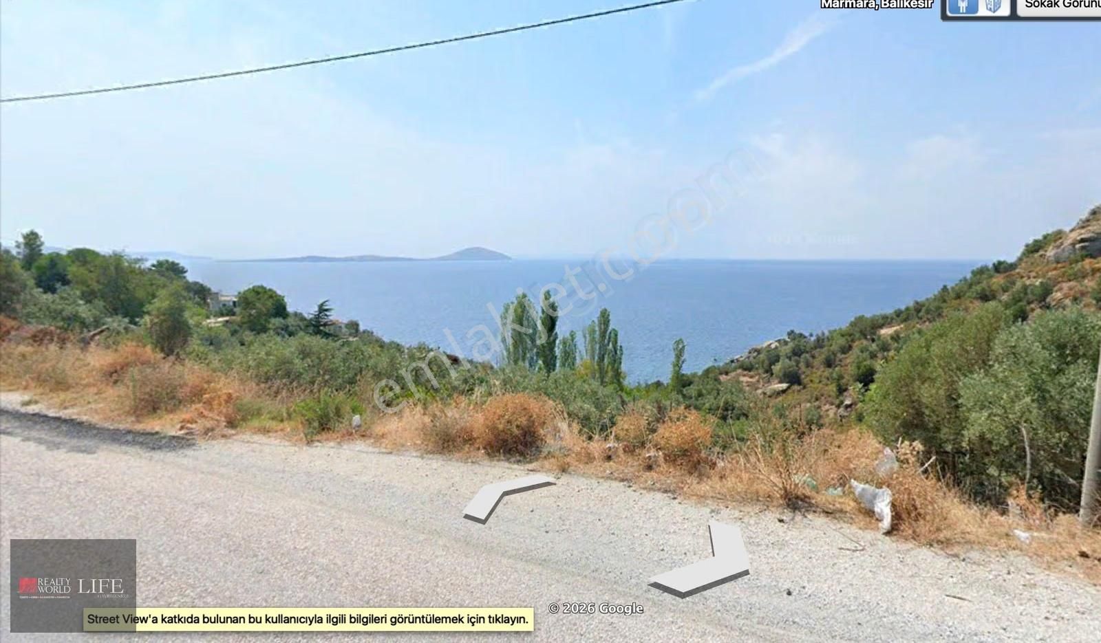 Rw Lıfe // Marmara Adasında Satılık Deniz Manzaralı Zeytinlik