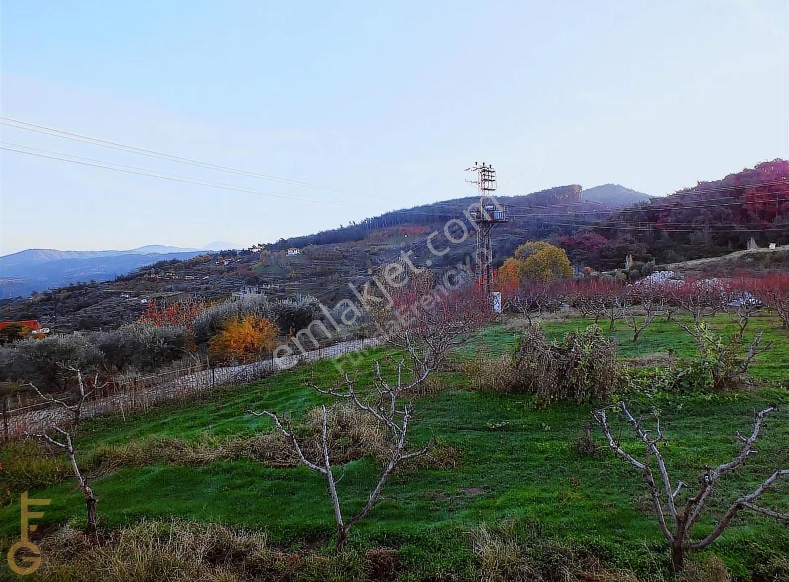 Şirince' De 2 Odalı 72m² Yapı Ve Şeftali Bahçesi Satılık 6927m² - Görsel 31