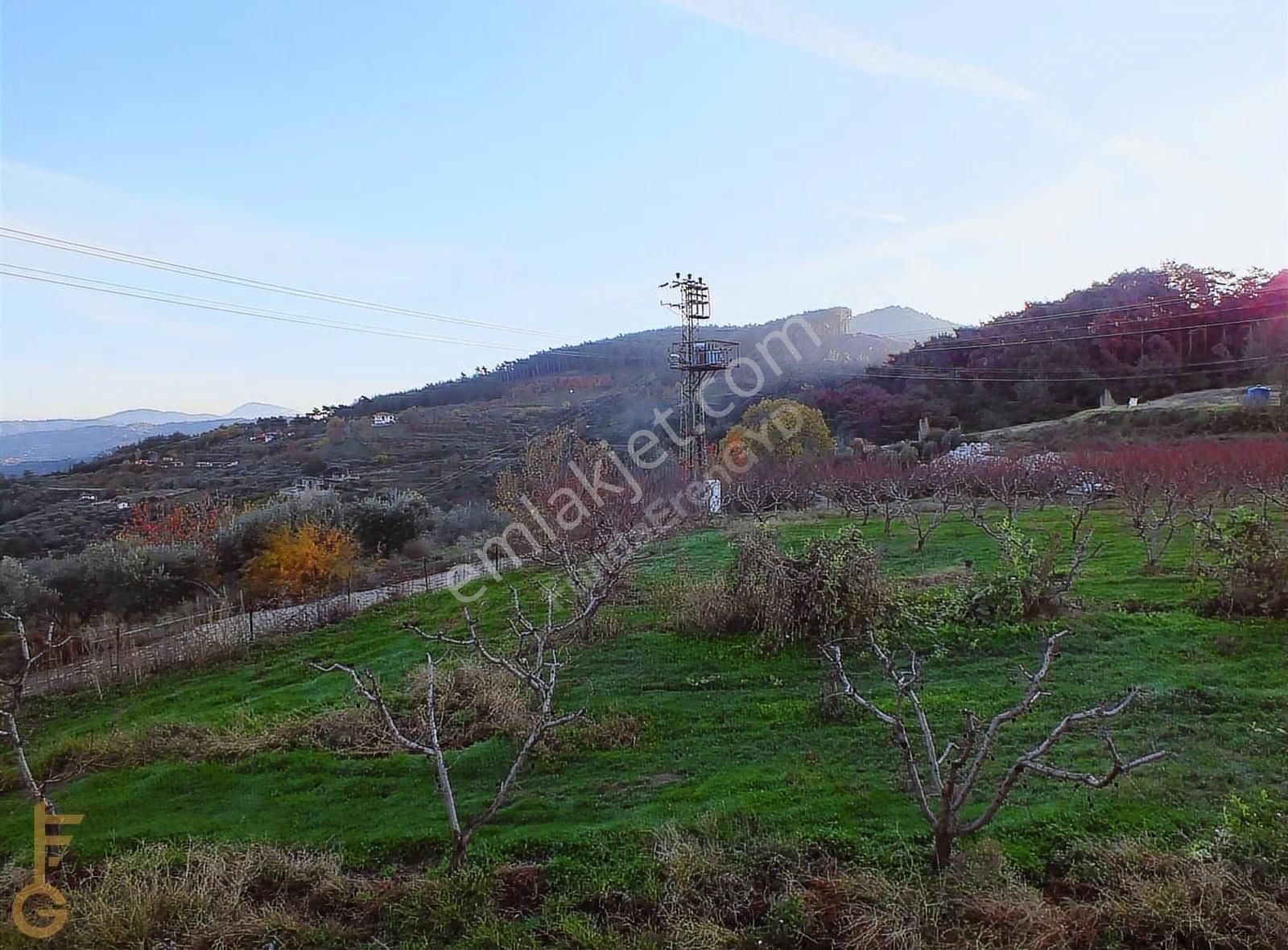 Şirince' De 2 Odalı 72m² Yapı Ve Şeftali Bahçesi Satılık 6927m² - Görsel 33