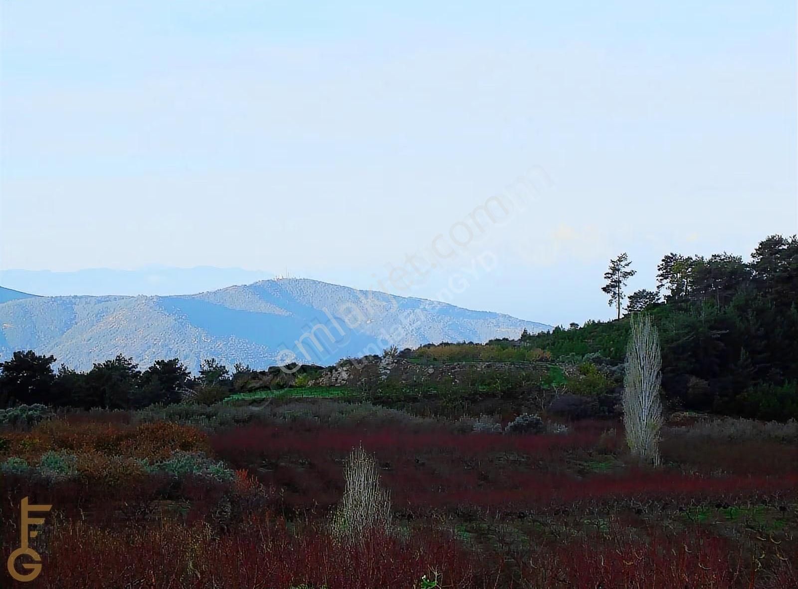 Şirince' De 2 Odalı 72m² Yapı Ve Şeftali Bahçesi Satılık 6927m² - Görsel 7